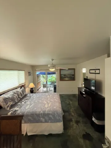 Taro: One of Two Studios / Secluded Pool Oasis at Walelia Getaway - South Kaua'i