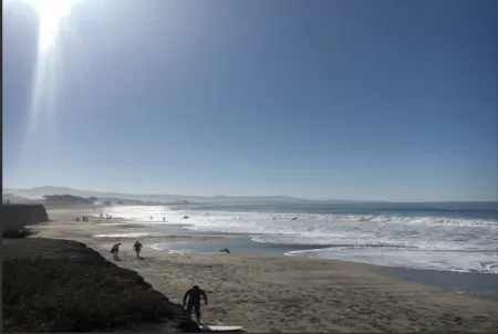 Private Studio , spectacular  Ocean View , bathroom , kitchenette, Very Quiet Отели рядом с достопримечательностью «Pillar Point Harbor»