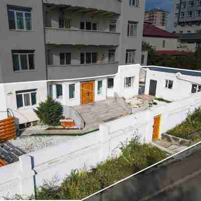 White Hostel Mongolia Hotel Exterior