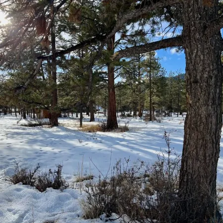 Spacious Family Friendly Cozy Cabin