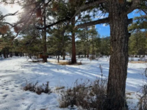 Spacious Family Friendly Cabin