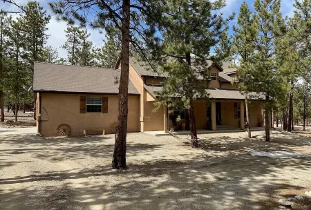 La Hacienda BV: Family-friendly cabin nestled on 2 acres in the woods