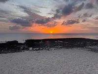 Walkout Oceanfront Seven Mile Beach Condo Hotels in George Town