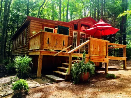 Robin's Hood Cabin New River Gorge National Park Отели рядом с достопримечательностью «New River Gorge»