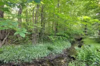 Waitsfield Condo w/ Pool & on-Site Trail Access! - 3-stjärniga