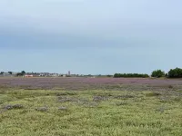 Longère on the edge of the Havre, charming house, breathtaking views, peaceful setting. Hotels in Portbail