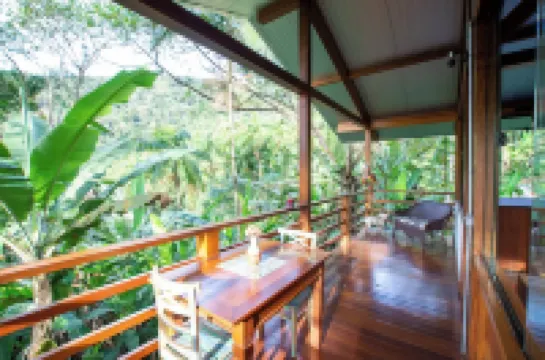 Chalé da Montanha, Vista Incrível da Montanha e Cachoeira no Mesmo Terreno