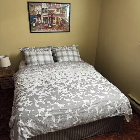 Cozy 2-bedroom apartment with WiFi, AC in amazing Penticton