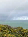 Cosy cottage, peaceful setting 5 mins to beautiful sandy beach & fabulous walks!