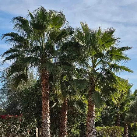 Grande Villa Très Proche Centre Ville, Avec Piscine, Terrain de Boules sur Golf