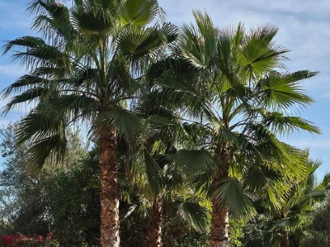 Grande Villa Très Proche Centre Ville, Avec Piscine, Terrain de Boules sur Golf
