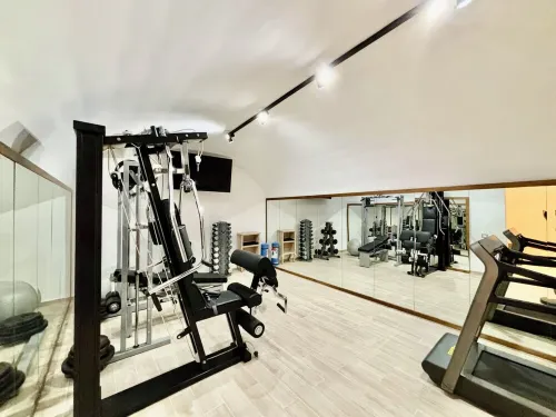 Comfortable apartment in Villa in the historic center.