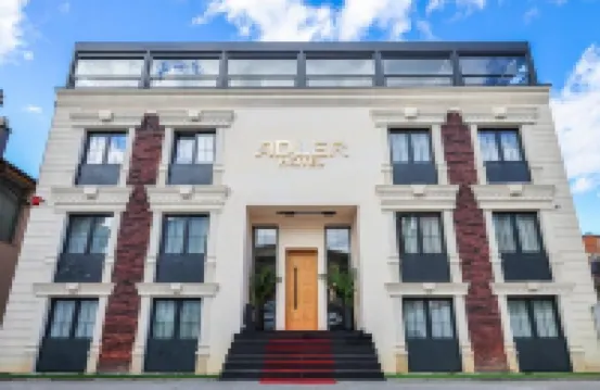 Adler Hotel Отели в г. 
