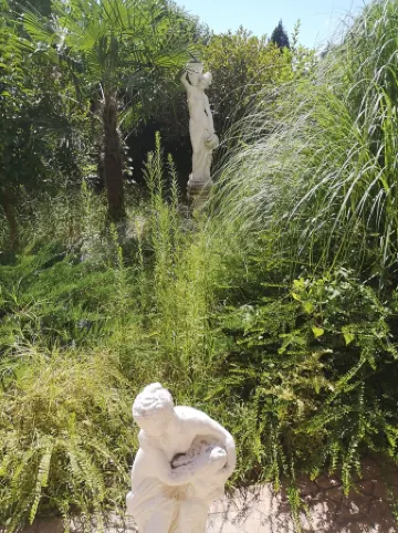 Aparthotel with reception, 2 room apartment, 2nd floor, elevator, kitchen, bathroom, balcony