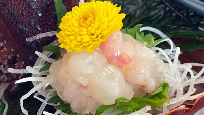 料理 季彩の宿 沙都邑　－ときいろのやど　さとむら－の写真