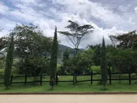 El Pinar House: Tranquility, Family, and Nature