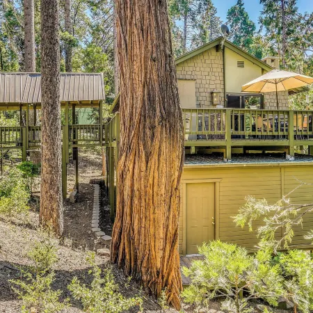 Cozy 'Bears Hideaway' Cabin ~ 3 Mi to Shaver Lake!