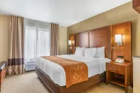 Comfort Suites Grand Rapids North Hotels in Kent County