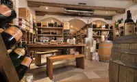 Hotel Lac Salin Spa & Mountain Resort - bar