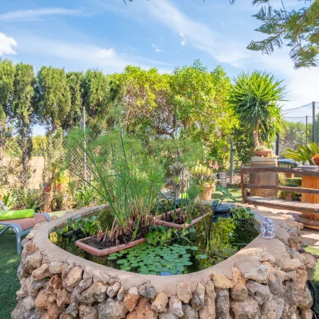Can Pintat (llubÍ) - Villa With Private Pool