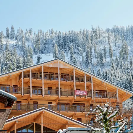 Chatel Ski Apt Near Gondola