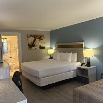 Best Western InnSuites Phoenix Hotel  Suites Hotels near North Mountain