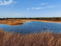 Tranquil Retreat in Bolilmark-By Traum