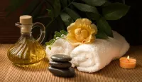 Parrot Hotel Arusha - Spa
