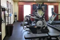 Holiday Inn & Suites MCKINNEY - N ALLEN by IHG - gimnasio