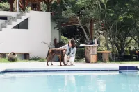 Hosteria Cananvalle - Yüzme Havuzu
