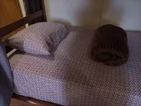 Hostal De María Hotels in 