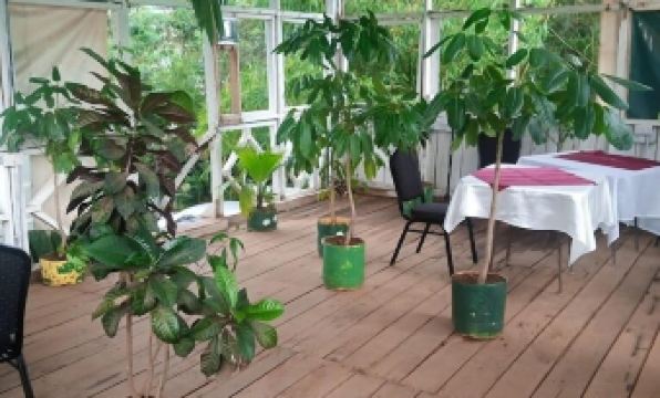 Roddy's Green Lounge Vihiga