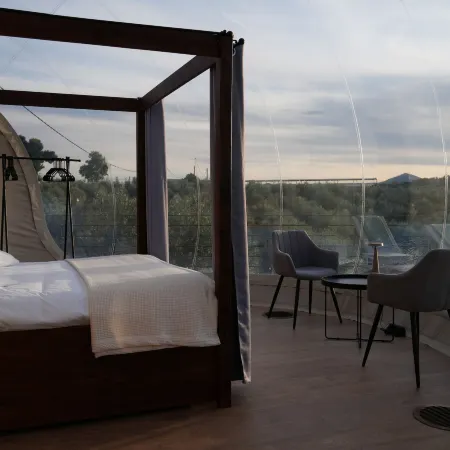 Panoramic Suites