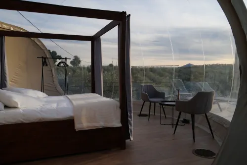 Panoramic Suites