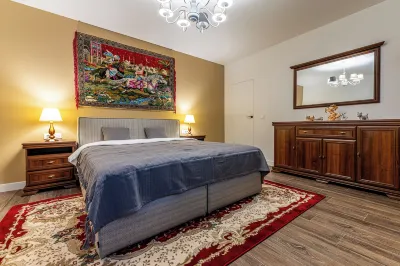 펜시우네아 카사 바이스  호텔