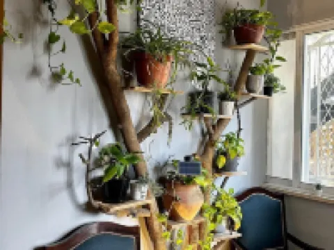 Beit Ahlan Hoteles en Ammán