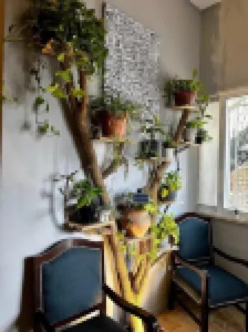 เบอิต อาห์ลาน