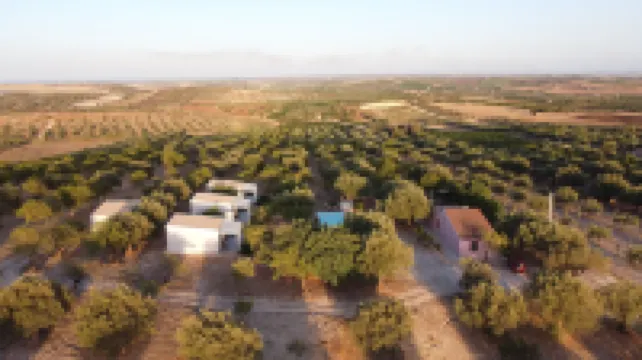 Mennuli&Alivi - Organic Farm