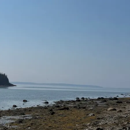 Oceanside Acadia Artist's Studio with high end finishes and local character