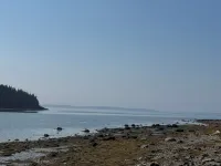 Oceanside Acadia Artist's Studio with high end finishes and local character