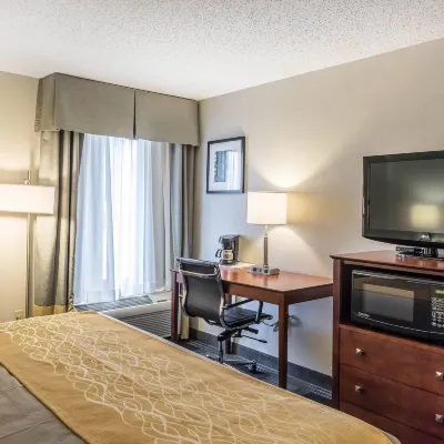 Comfort Inn SW Omaha I-80 Hotel in zona Parco Divertimenti Fun-Plex Waterpark & Rides