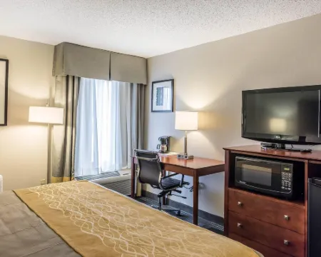 Comfort Inn SW Omaha I-80 Hotels in Omaha