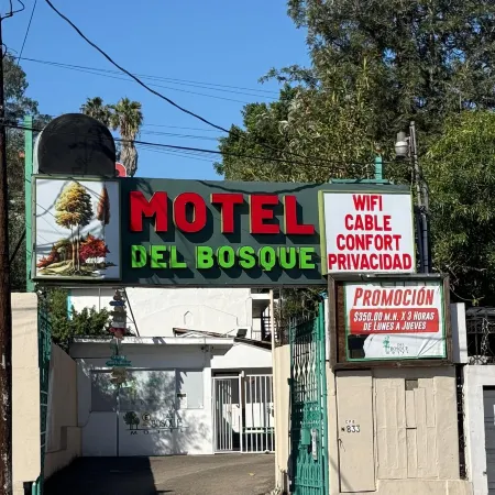 Hotel Del Bosque