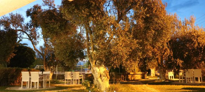 Ege Apart & Hotel Hotels in Ayvalik