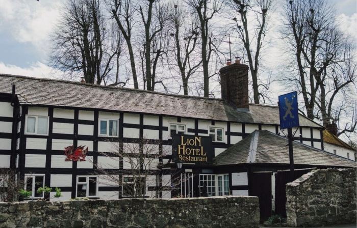 The Lion Hotel