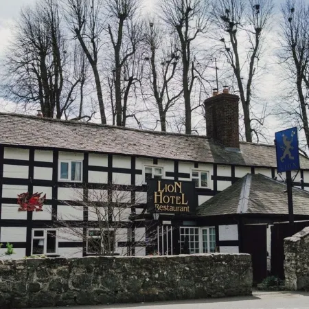 The Lion Hotel Отели в г. Уэлшпул