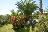 Spacious Villa with Pool - Виллы