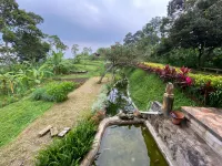 Villa Vive Trawas