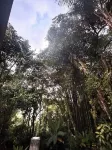 La Cabañita del Viajero