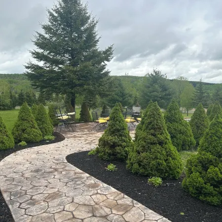 Rustic Camp with Trails, Views & Adventure – Pet Friendly!